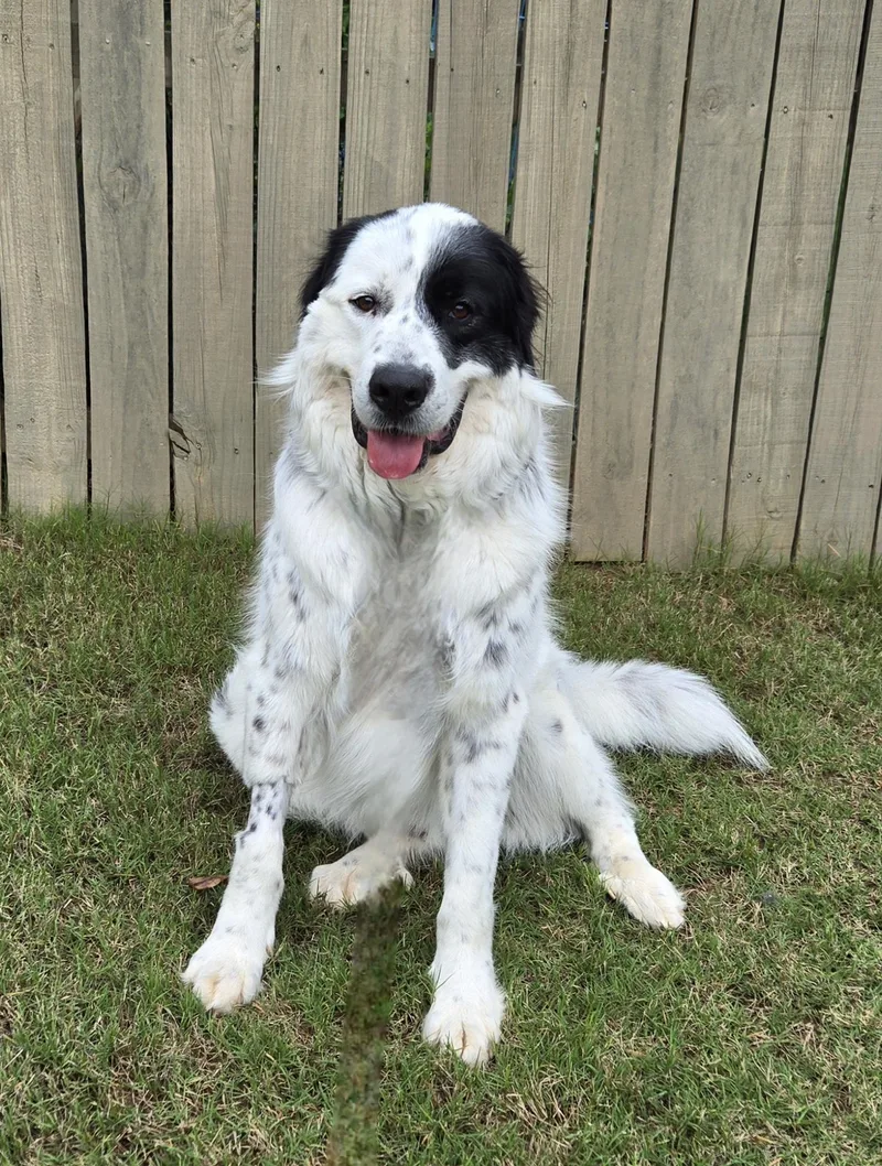 Fred Walker thumbnail 3