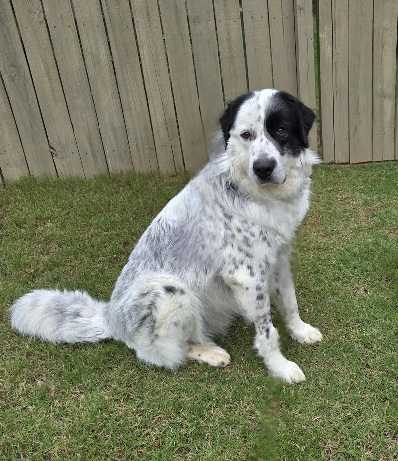 Fred Walker thumbnail 4