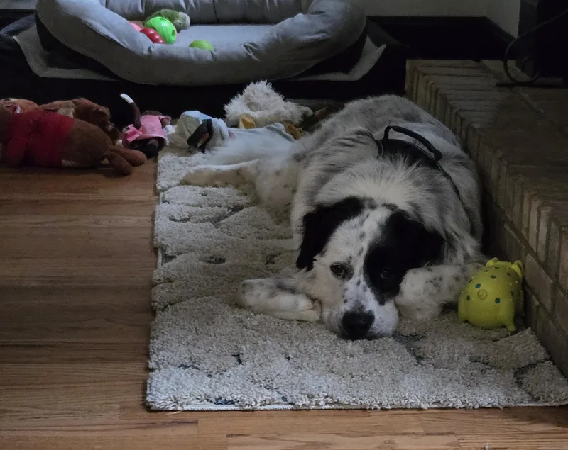 Fred Walker thumbnail 5