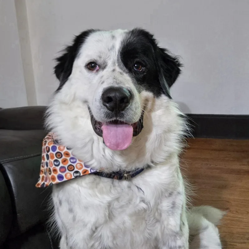 Fred Walker thumbnail 6