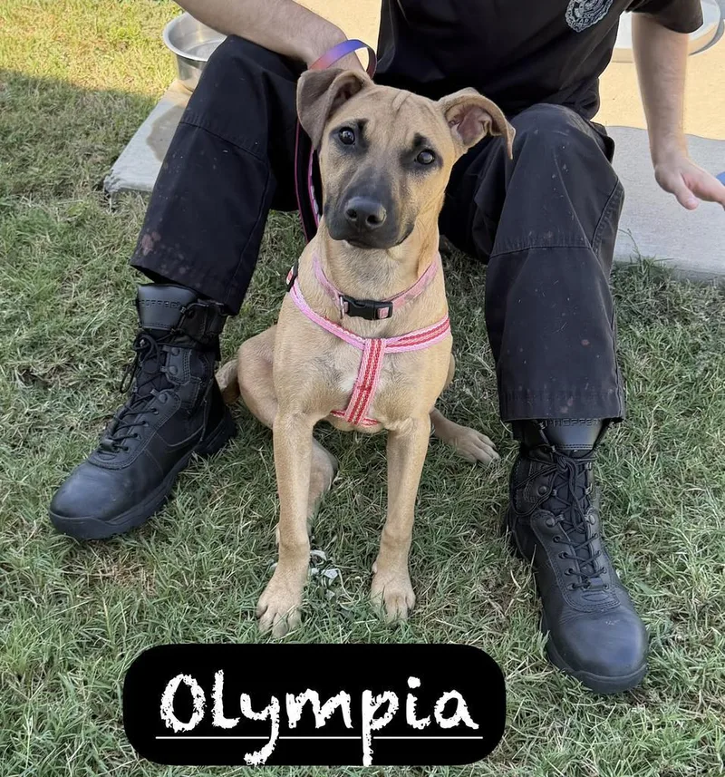Olympia thumbnail 4