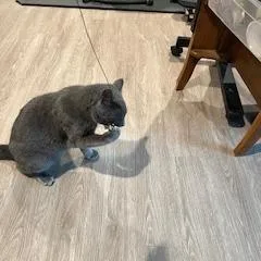 Victor Scott Ii thumbnail 2