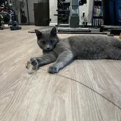 Victor Scott Ii thumbnail 3