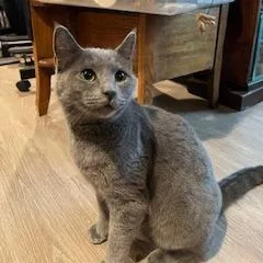 Victor Scott Ii thumbnail 4