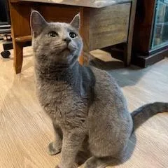 Victor Scott Ii thumbnail 5