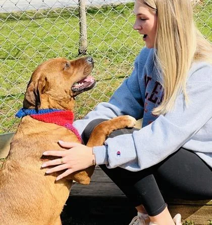 Franklin $ thumbnail 2