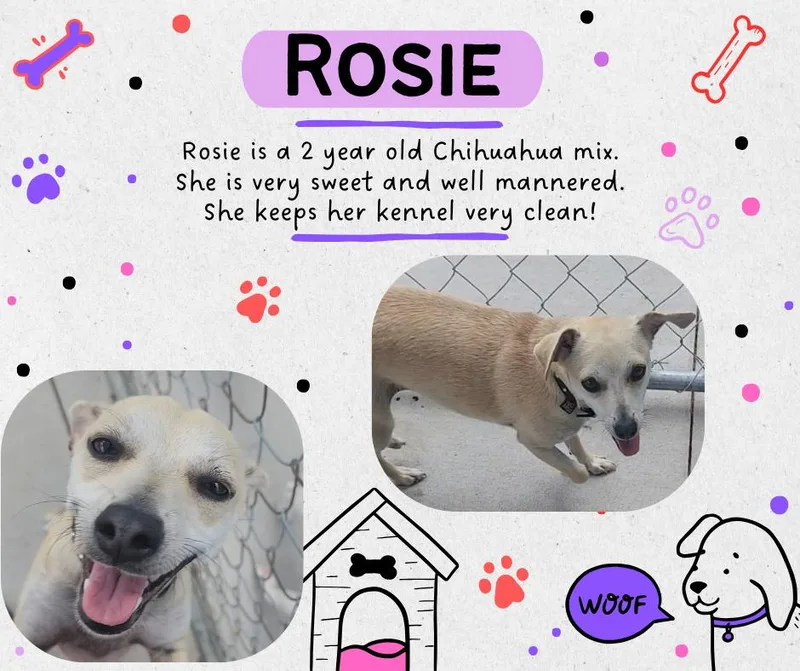 Rosie