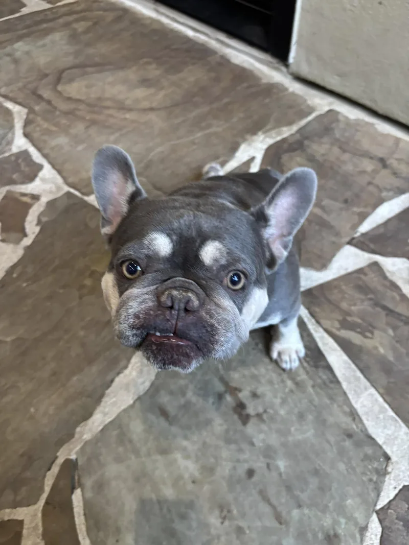 Millie And Margo thumbnail 2