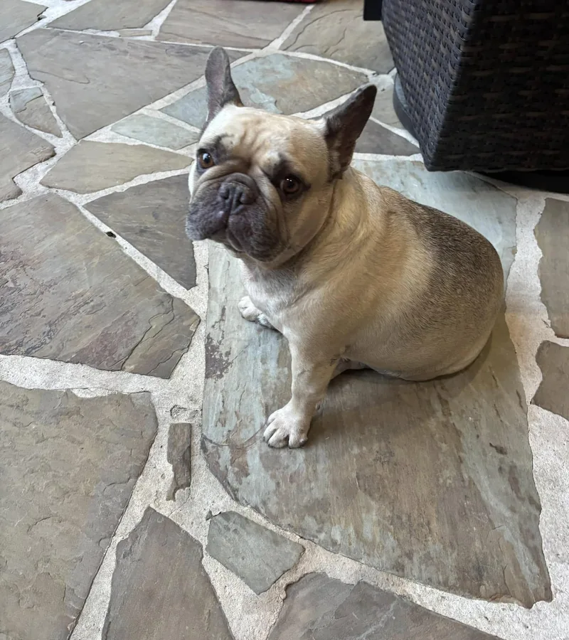 Millie And Margo thumbnail 3