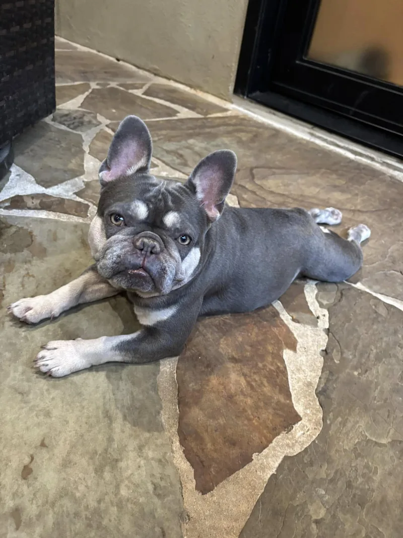 Millie And Margo thumbnail 4