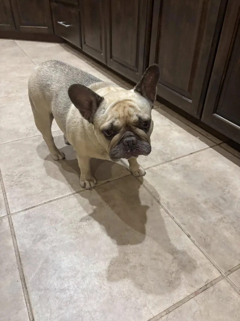 Millie And Margo thumbnail 6