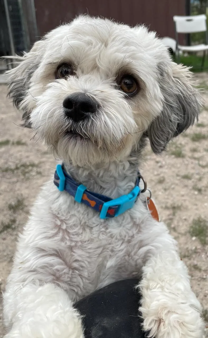 Paco