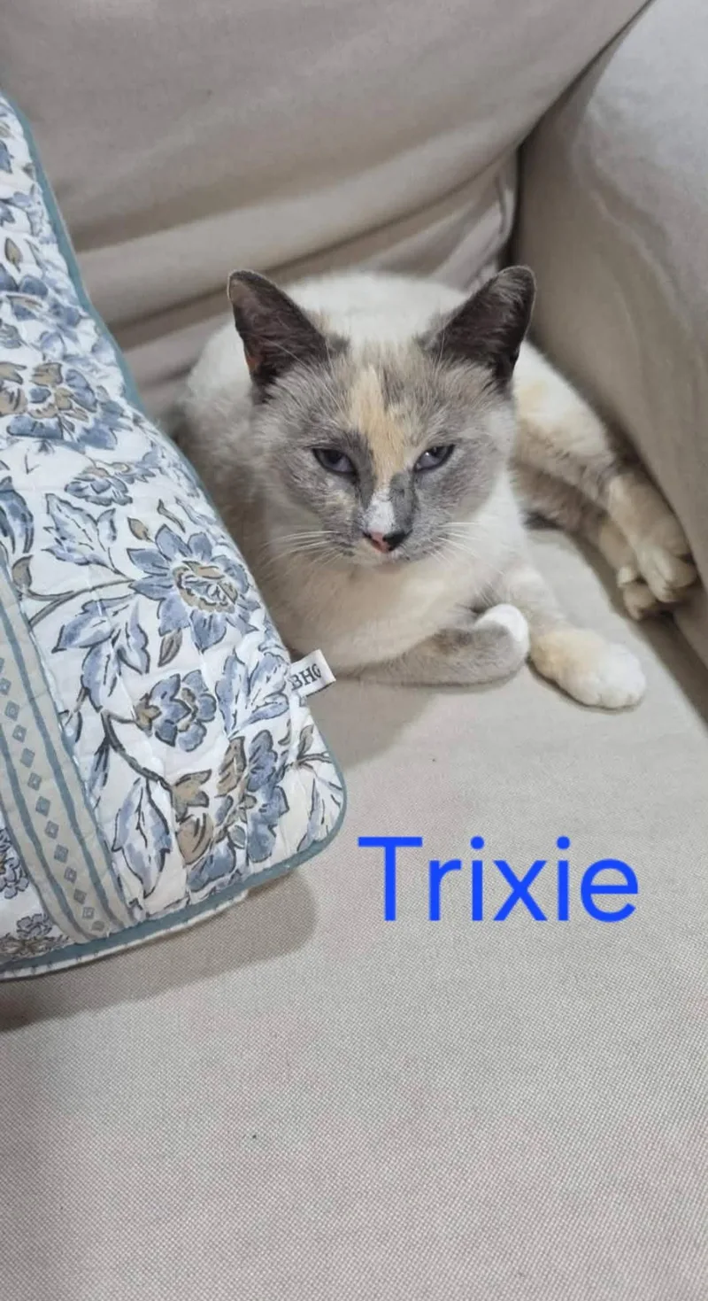 Trixie