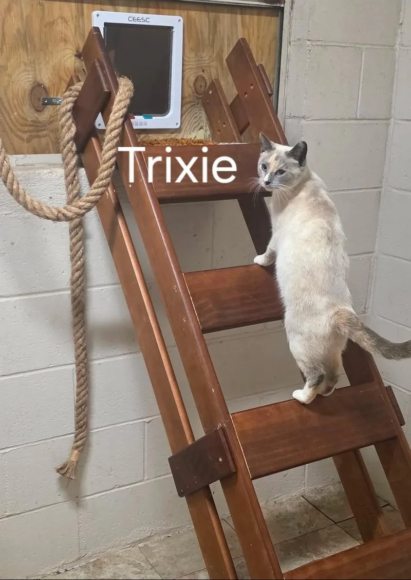 Trixie thumbnail 3