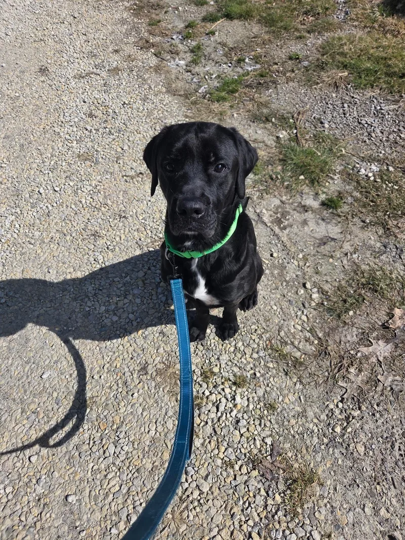 Bensonnot Accepting Applications Yet! thumbnail 4