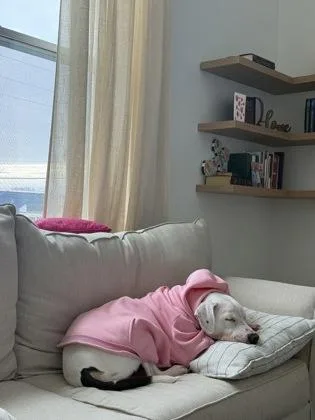 Strawberry thumbnail 3