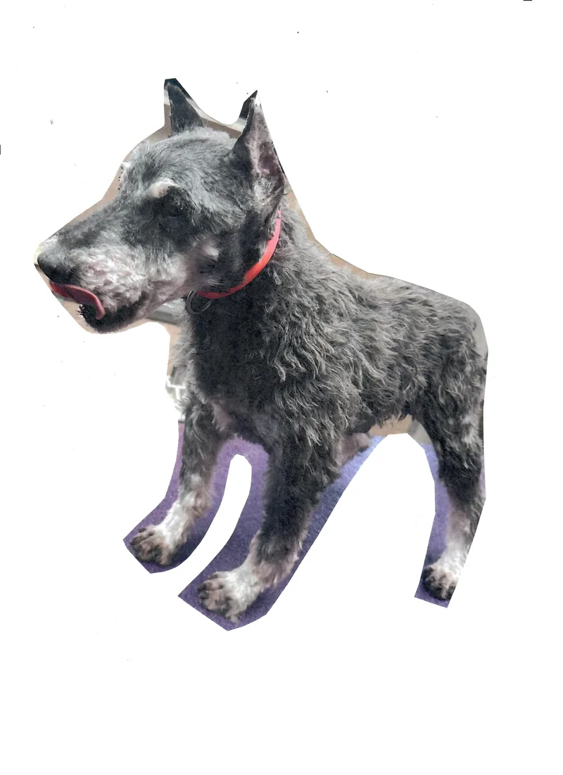 Hotlanta thumbnail 2