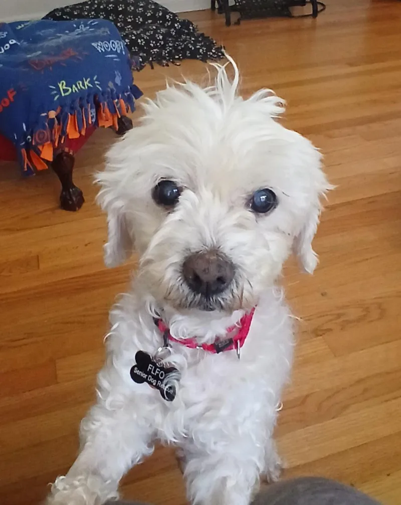 Trudy thumbnail 2