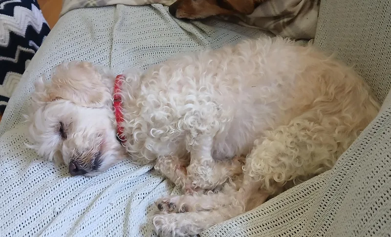 Trudy thumbnail 3