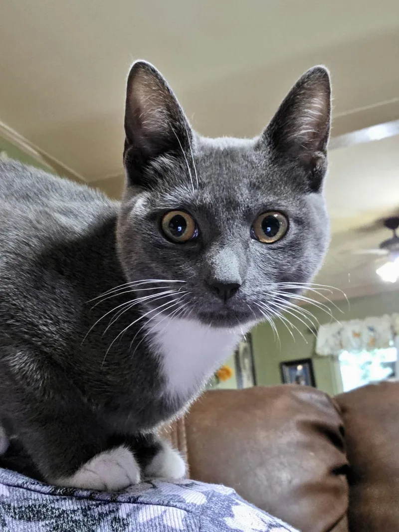 Cassie thumbnail 3