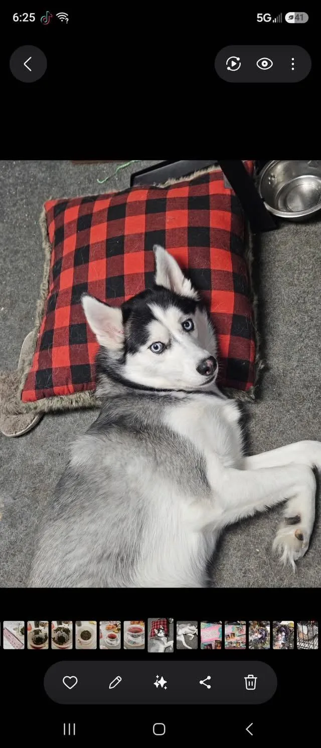 Jax