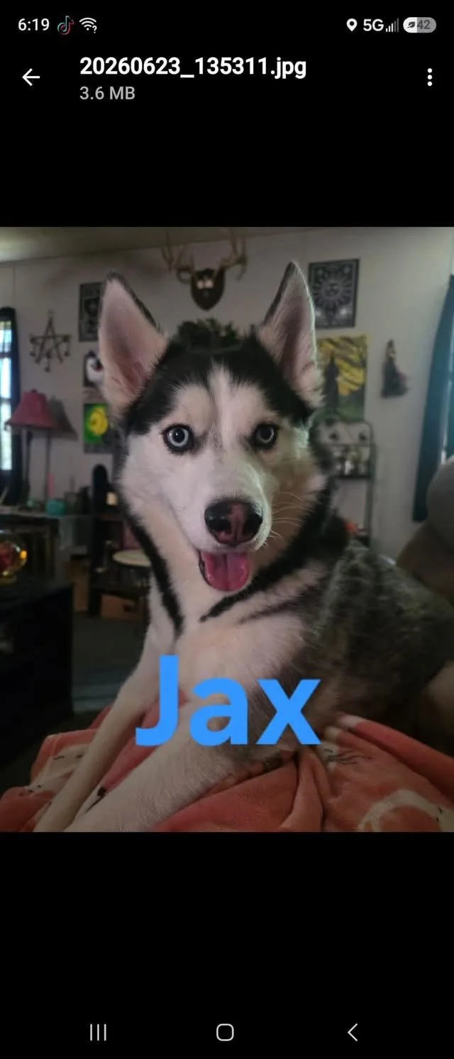 Jax thumbnail 2