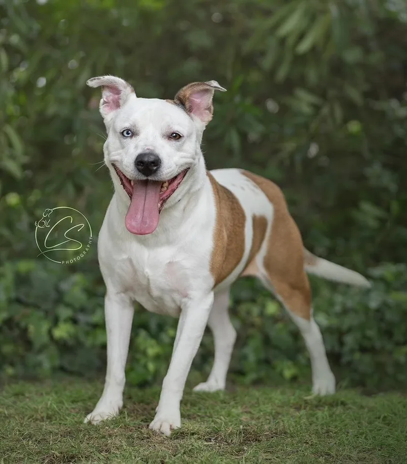 Luna Girl thumbnail 2