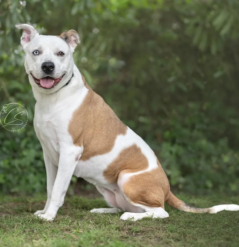 Luna Girl thumbnail 3