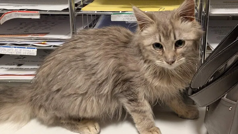 Wiley And Poppy thumbnail 2