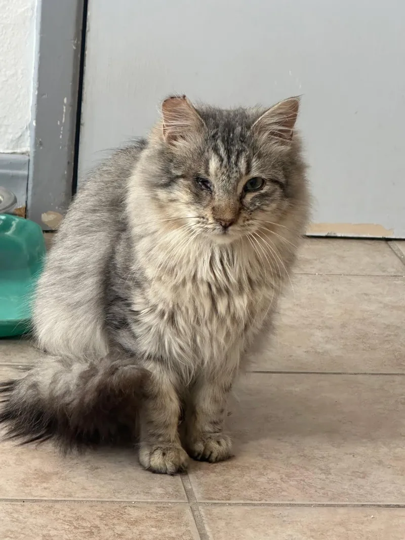 Wiley And Poppy thumbnail 3