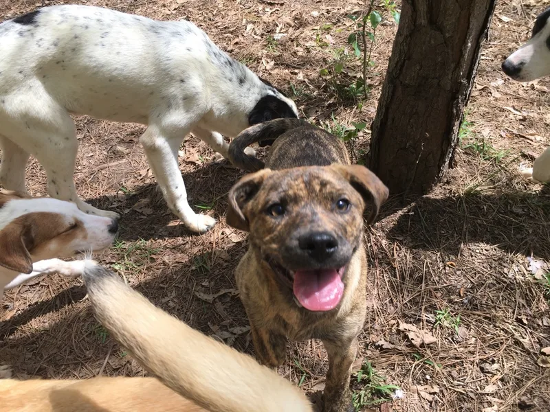 Precious thumbnail 3