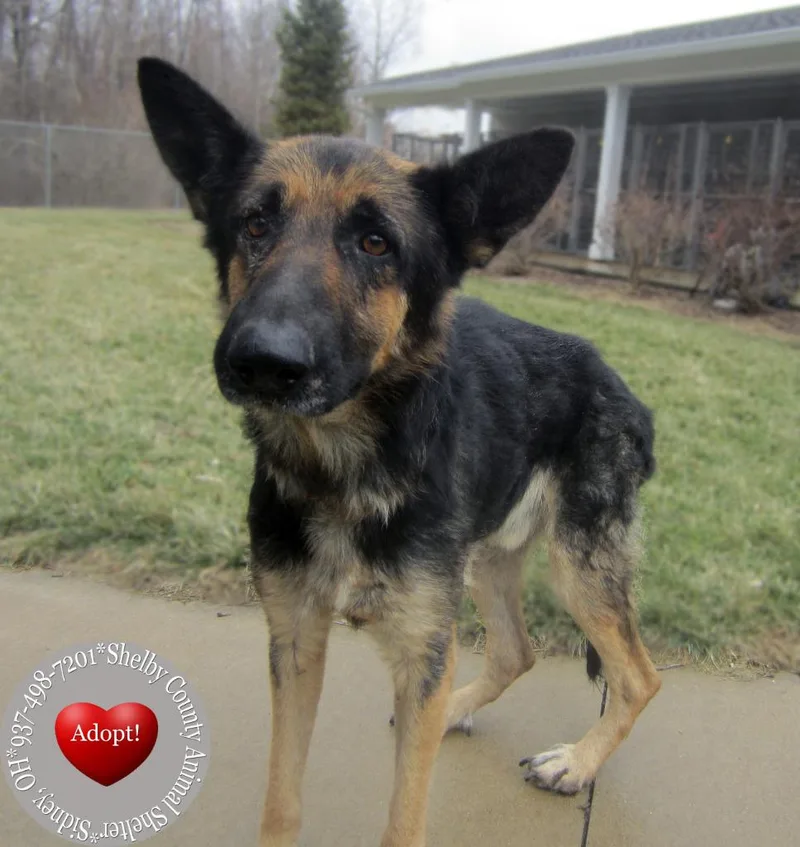 Falon Yrly thumbnail 3