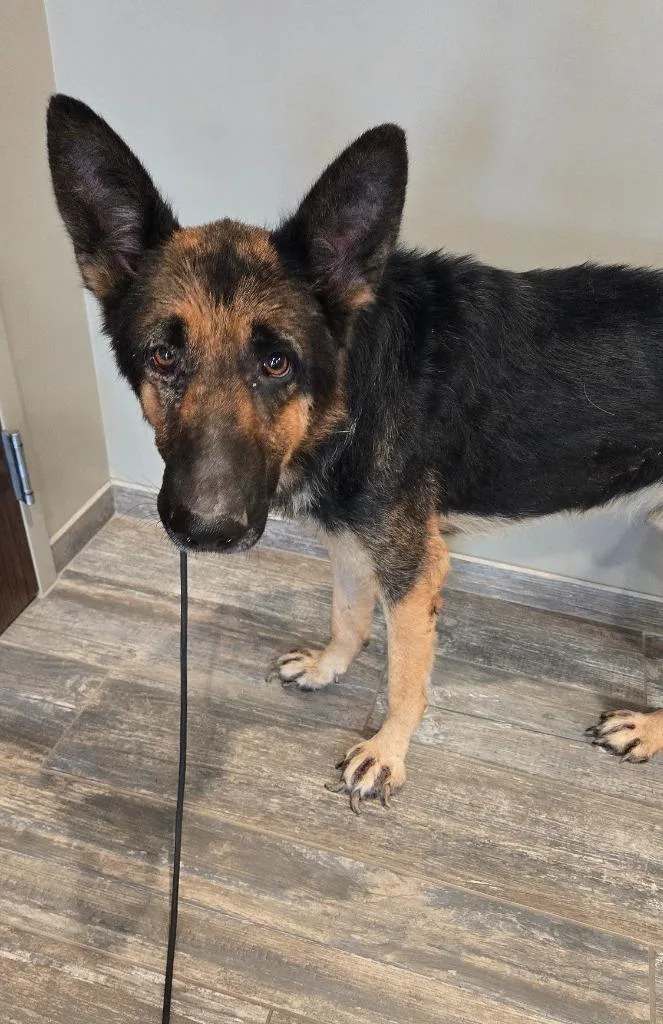 Falon Yrly thumbnail 4