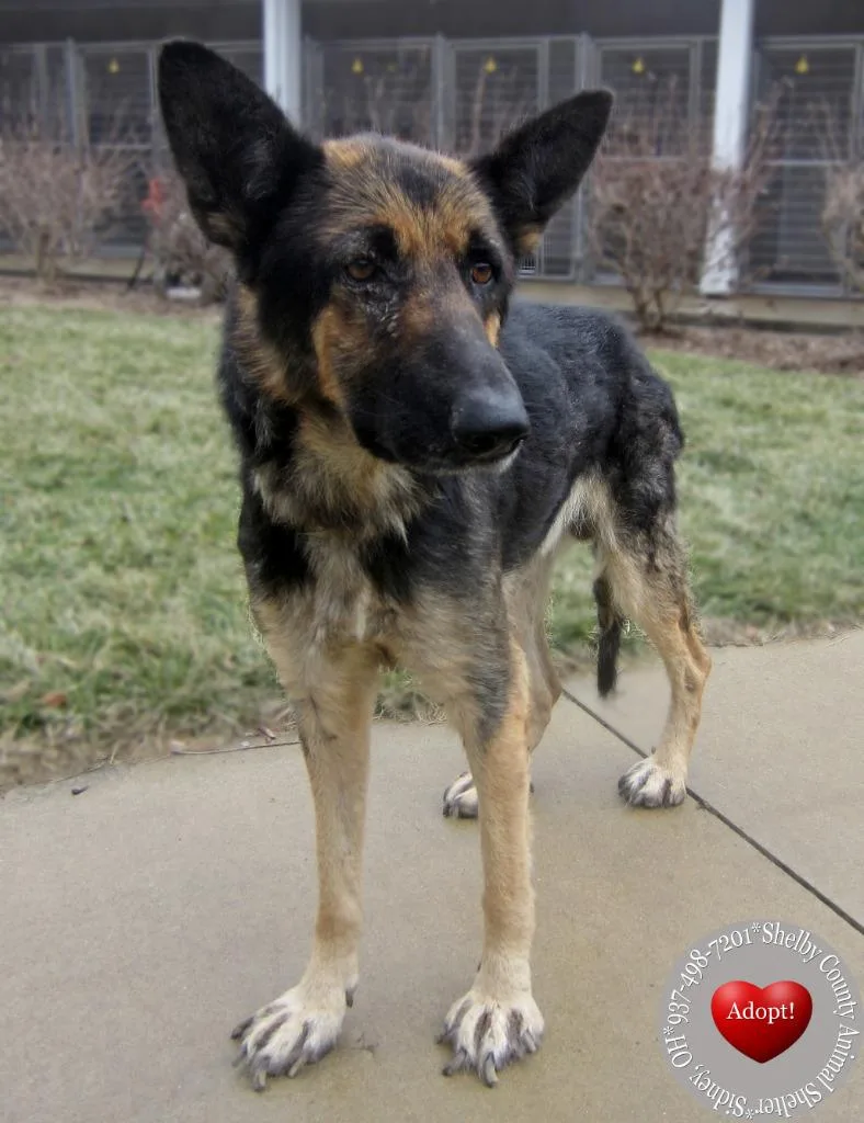 Falon Yrly thumbnail 5