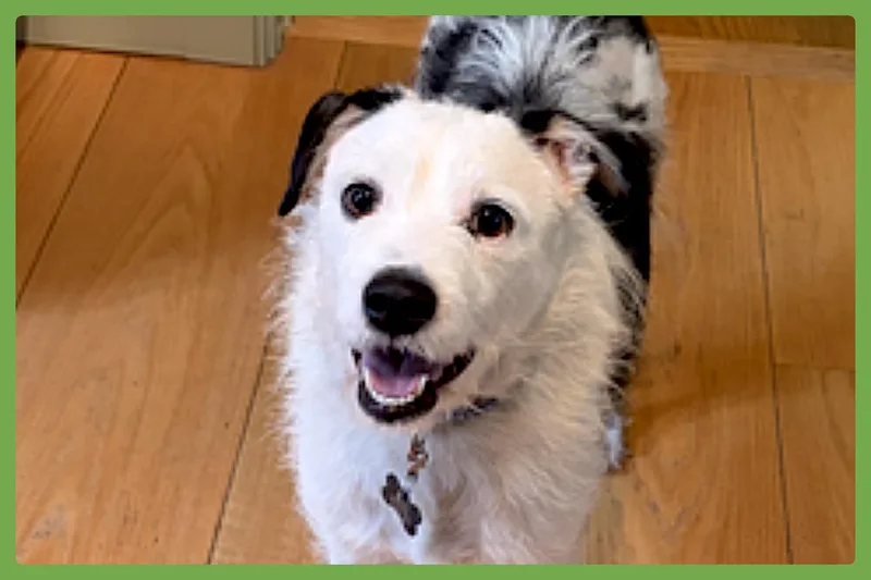 Danny thumbnail 5