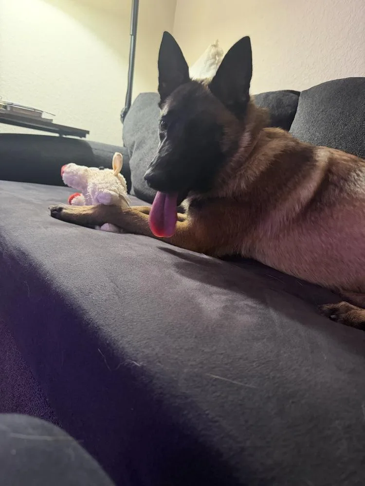 Mindy  located in thumbnail 4