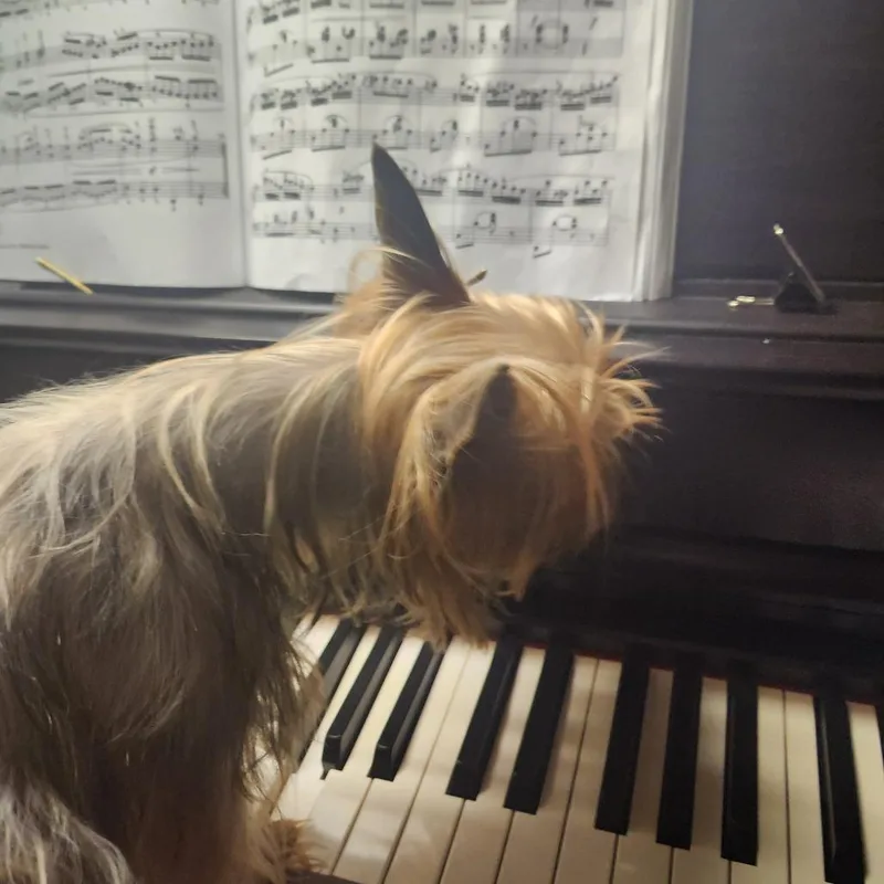 Princess thumbnail 2