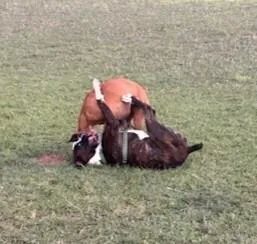 Mud thumbnail 6