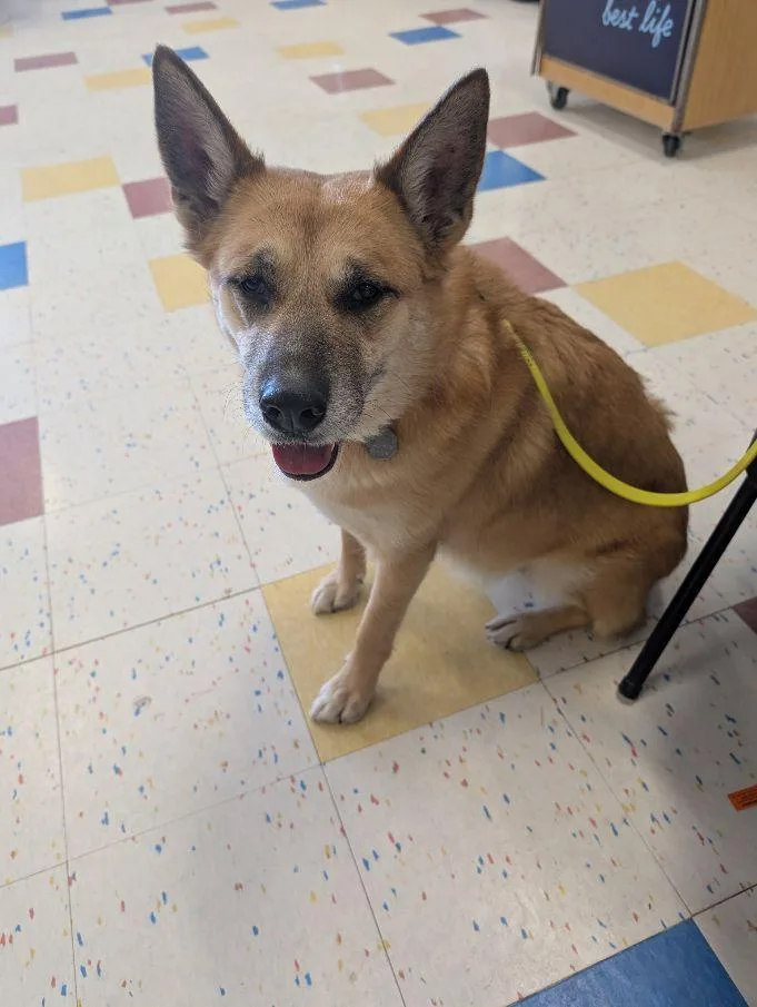 Scarlett thumbnail 2