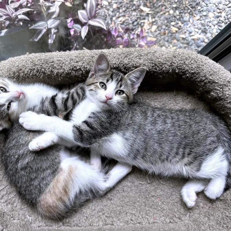 Match Point thumbnail 2