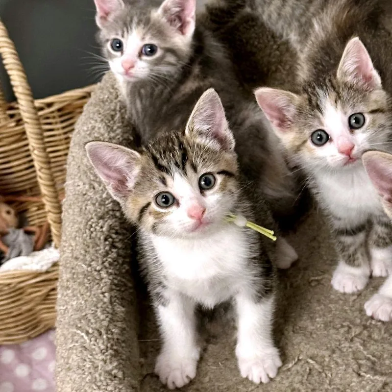 Match Point thumbnail 3