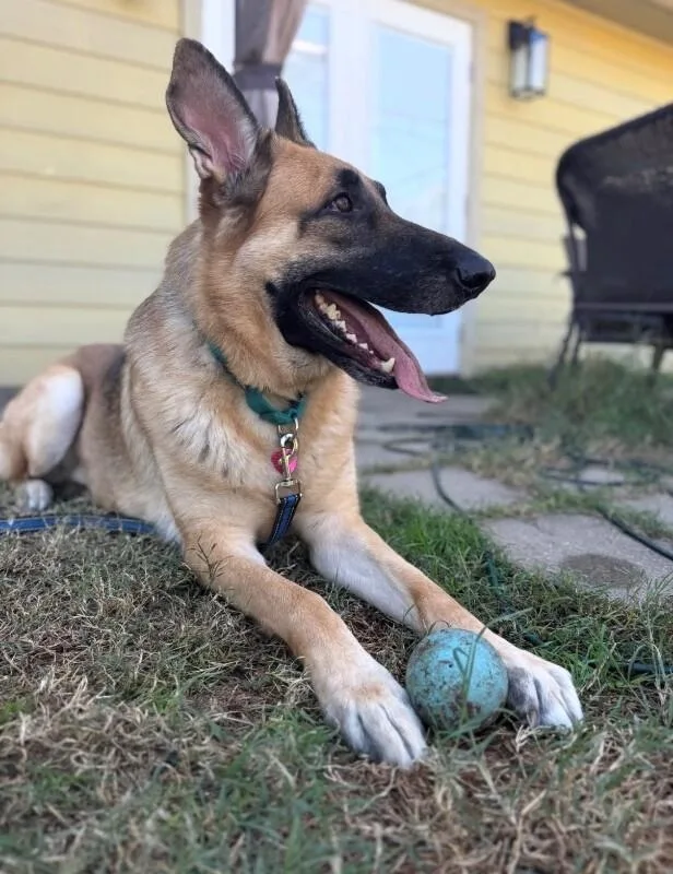 Loki thumbnail 3