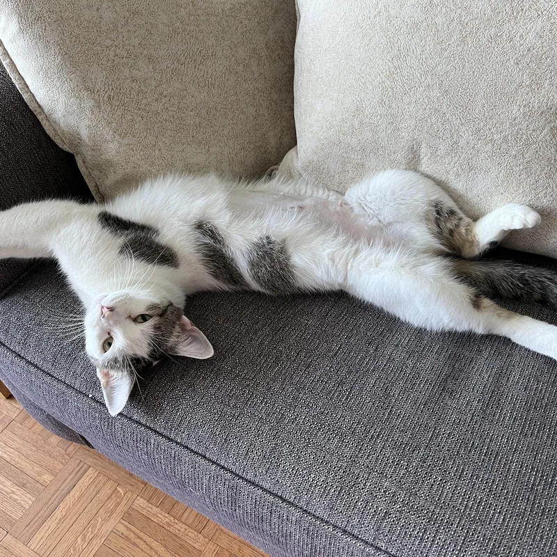 Lulu  A Kind thumbnail 3