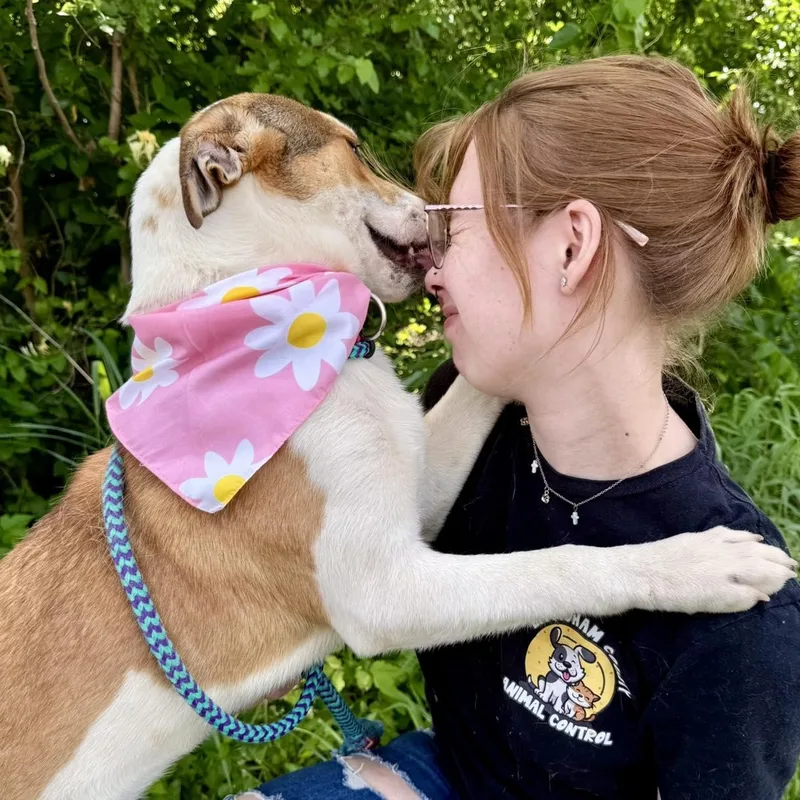 Maxine thumbnail 5