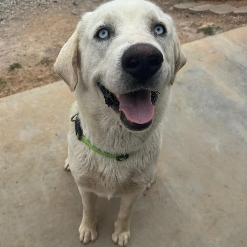 Vanilla Ice thumbnail 2