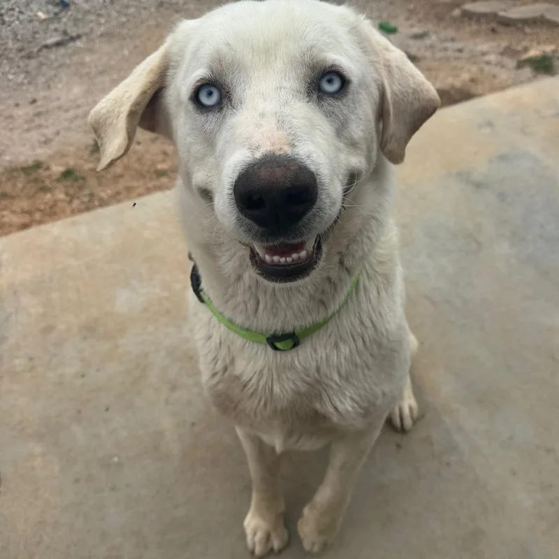 Vanilla Ice thumbnail 5