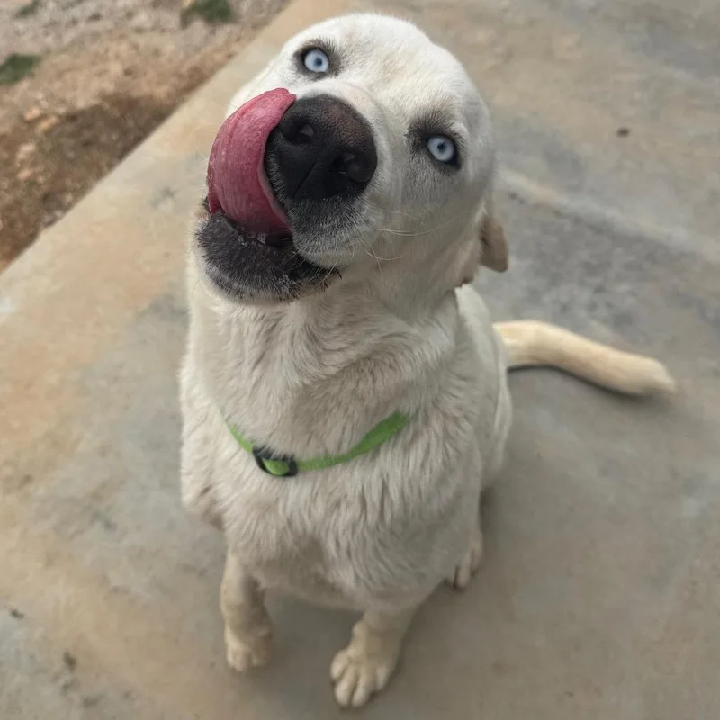 Vanilla Ice thumbnail 6