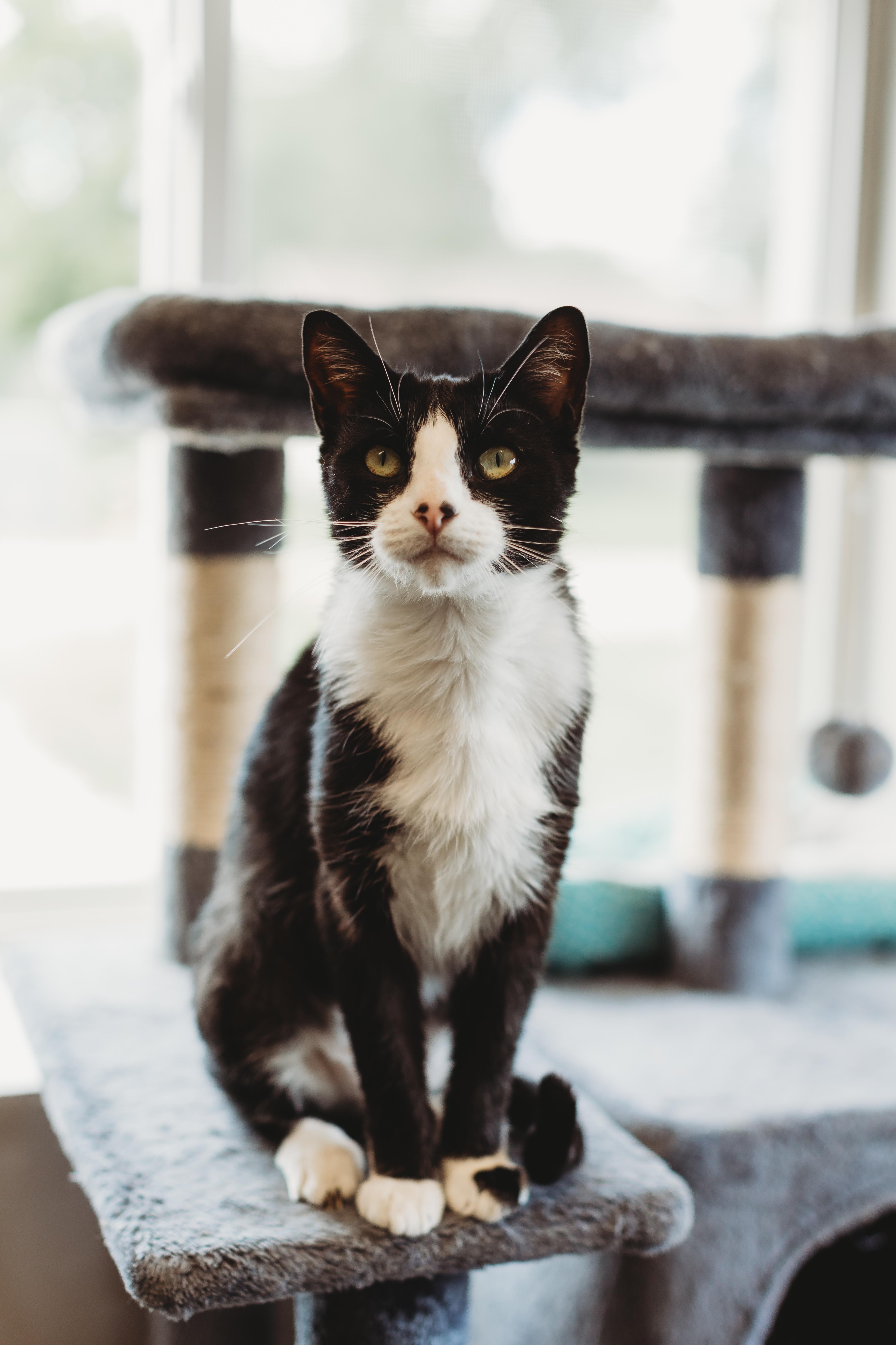 Kit