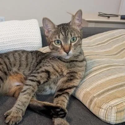 Georgia O'keeffe thumbnail 2