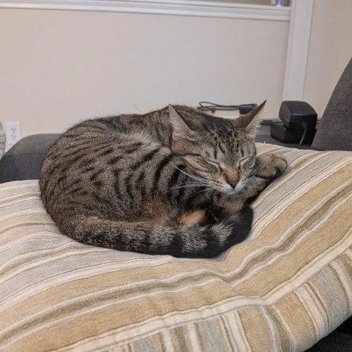 Georgia O'keeffe thumbnail 3